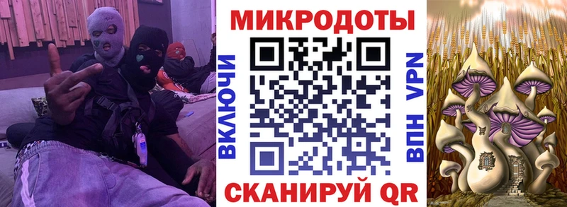 Галлюциногенные грибы мицелий KRAKEN ССЫЛКА Евпатория